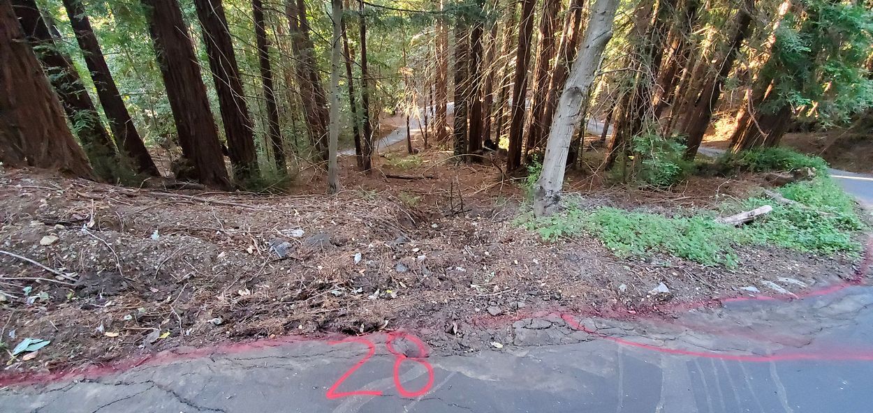 Restore destroyed curb so water doesn't leave road destroying land (illegal erosion per county laws, and damaging Ols property), and occasionally mud-flooding Spring Rd which they had to clear with Bobcat yrs ago.